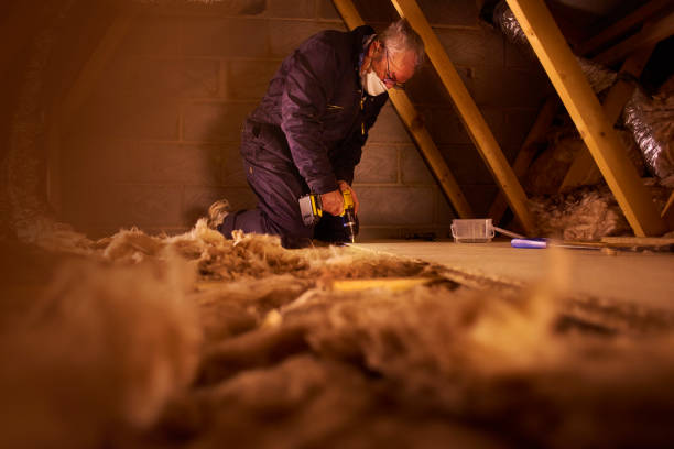 Best Spray Foam Insulation  in Thief River Falls, MN